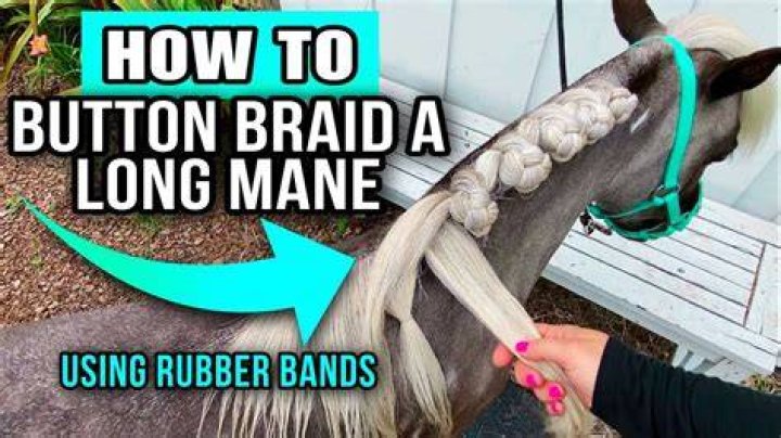 Does it hurt to braid a horse's mane?