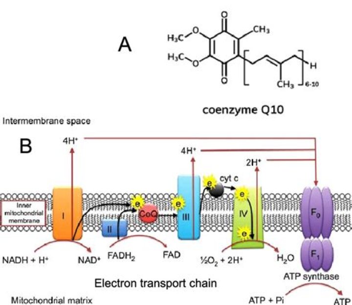Does it make sense to max out RRSP?