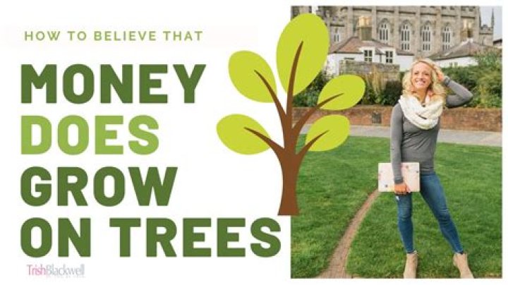 Does money actually grow on tree?