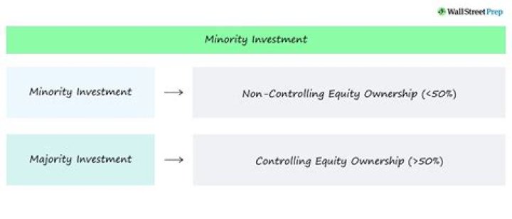 Does Net assets include minority interest?