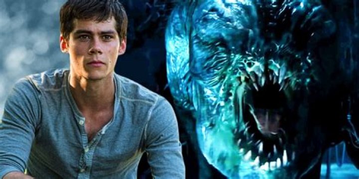 Does Newt get his Bowtruckle back?