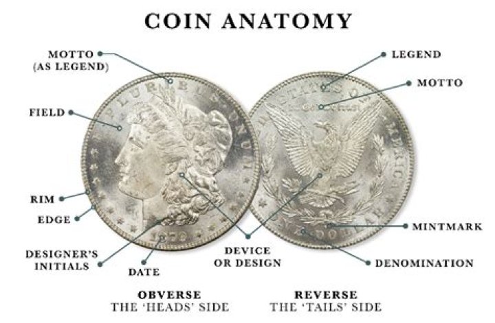 Does obverse mean front?