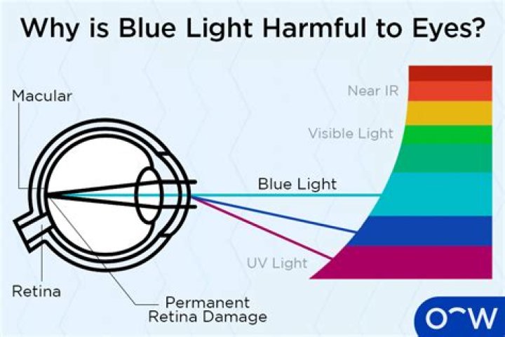 Does TV light bother fish?