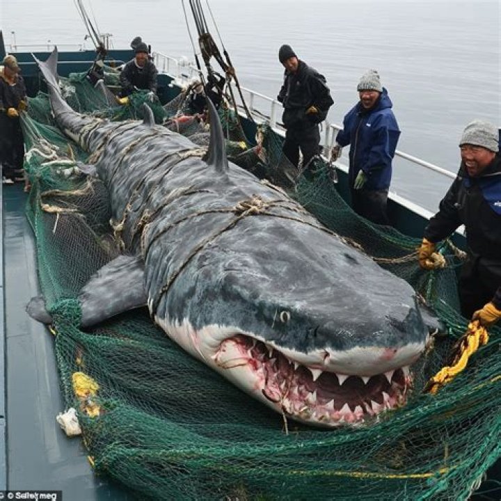 Does USAir still exist?