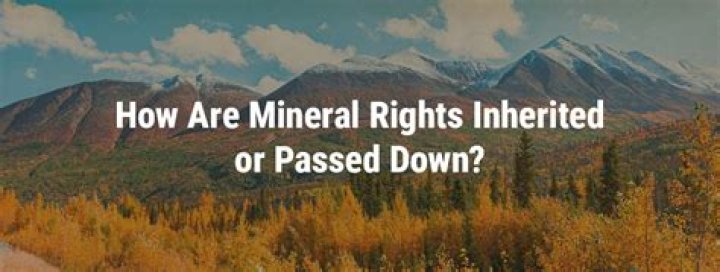 How are mineral rights divided in the family?