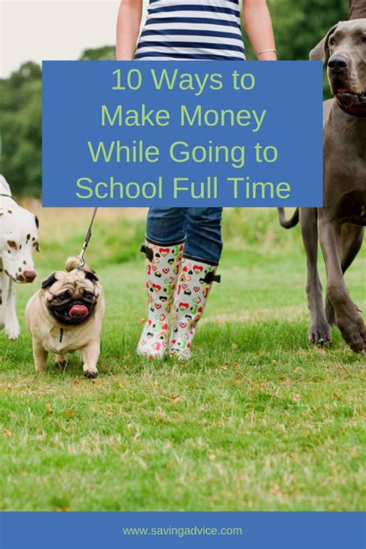 How can I make money while going to school full time?