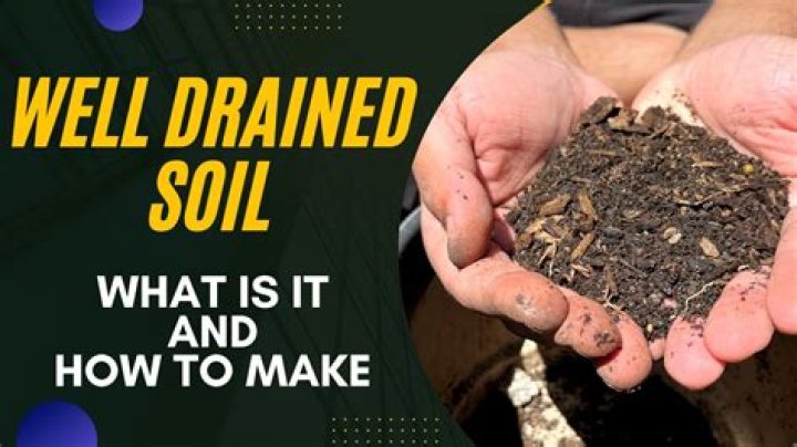 How can I make my sandy soil more fertile?