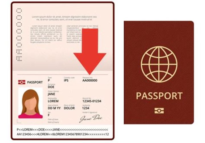 How can I make my travel document faster?
