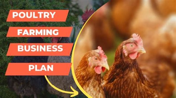 How can I start a poultry business?