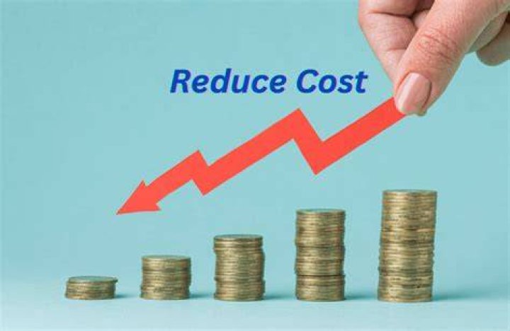 How can we reduce cost?