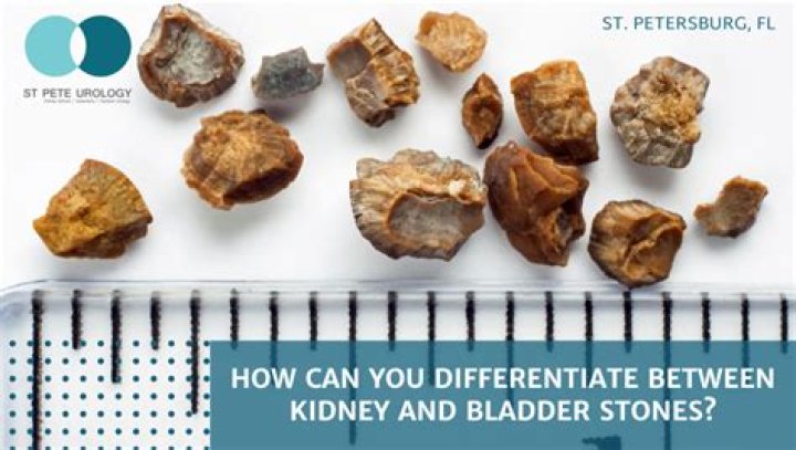 How can you tell if your cat has bladder stones?