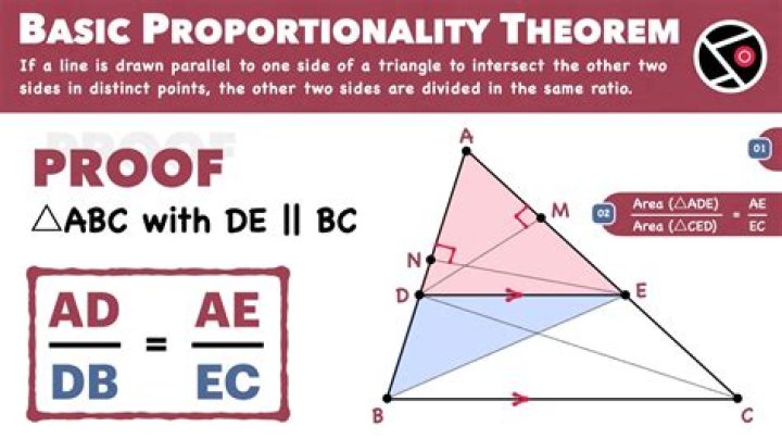 How can you use proportionality theorems?