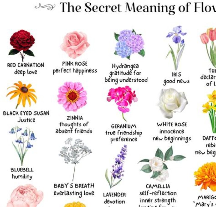 How do flowers help us?