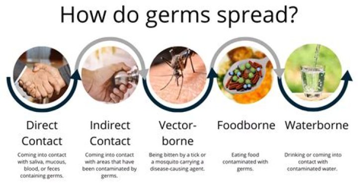 How do germs enter the body 5 ways?