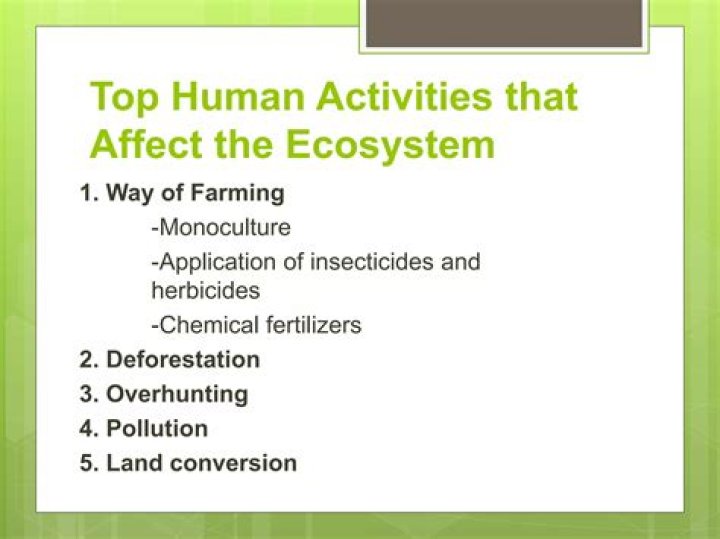 How do human activities affect the ecosystem?