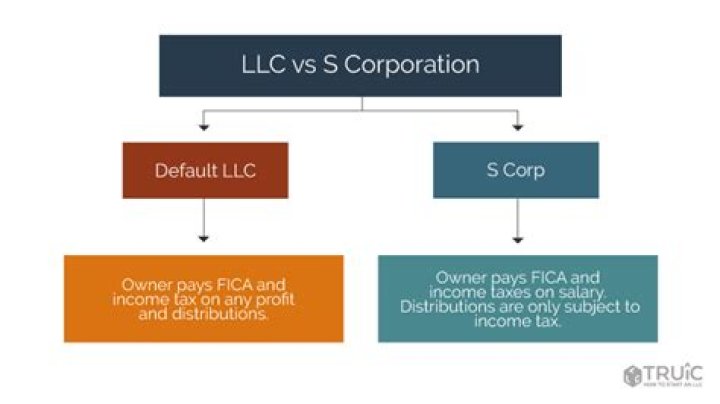 How do I choose a corporation or LLC?