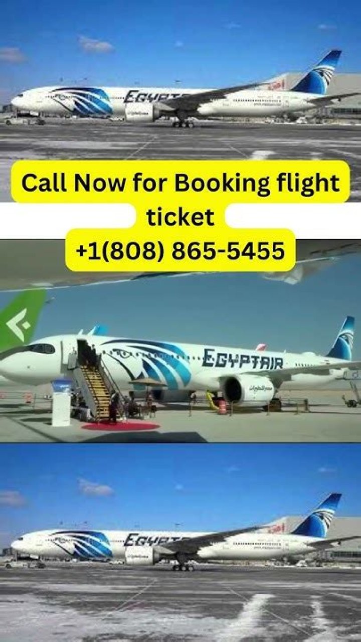 How do I contact EGYPTAIR?