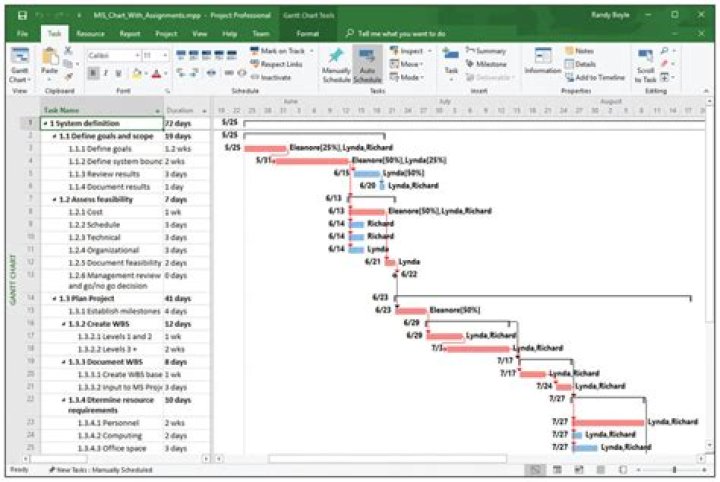 How do I create a Gantt chart in MS Project?