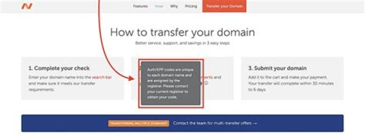 How do I dispute a domain name owner?