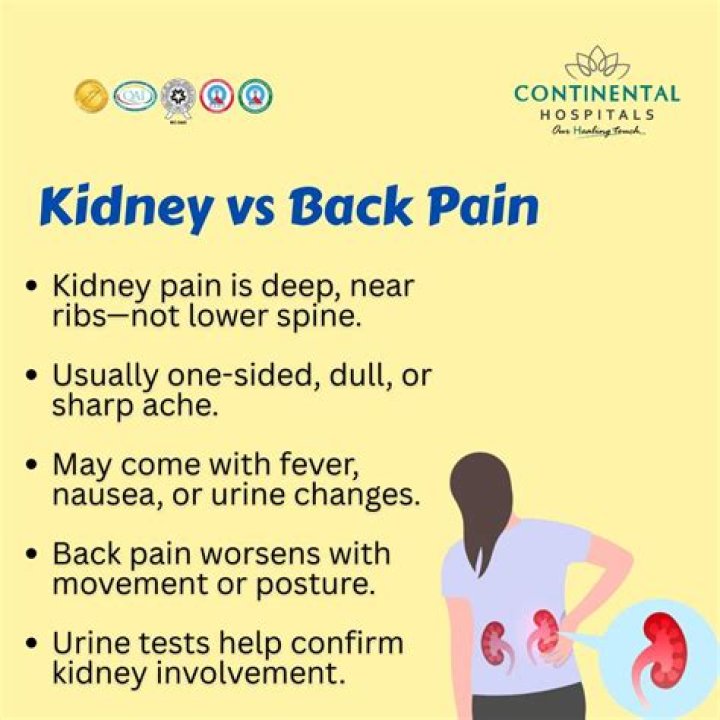 How do I know if it's muscle or kidney pain?