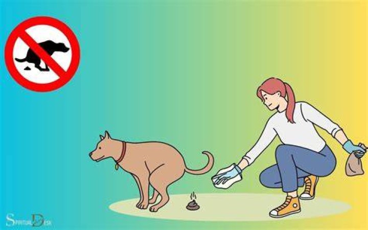 How do I stop stray dogs from pooping in front of my house?