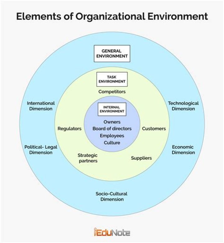 How do managers manage the external environment?