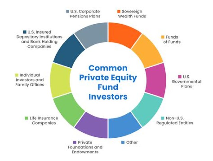 How do private limited companies raise funds?