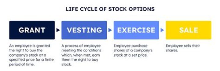 How do stock option programs work?