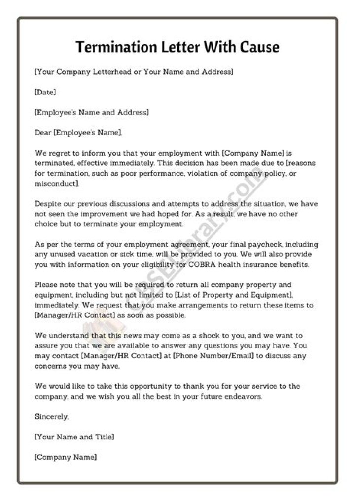 How do you answer reason for termination?