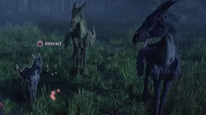 How do you build a consultancy?