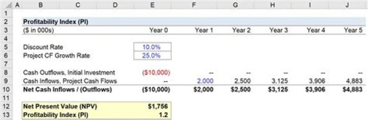 How do you calculate profitability index with example?