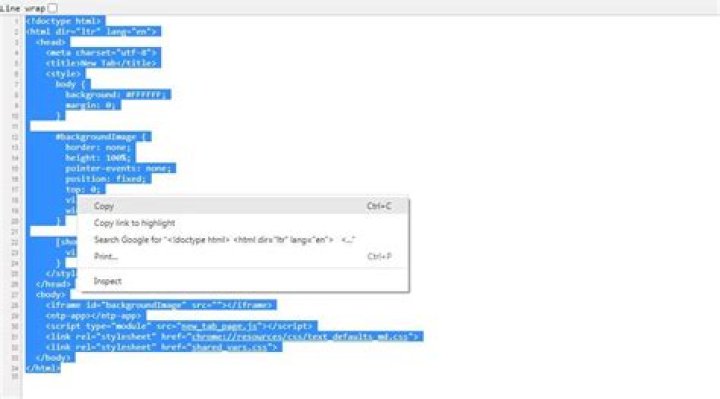 How do you copy HTML code from a website?