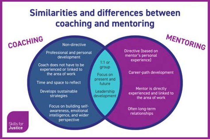How do you define a mentor?