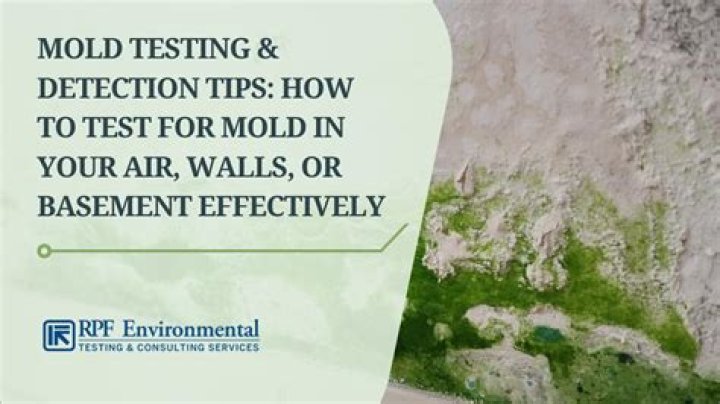How do you detect a smell?