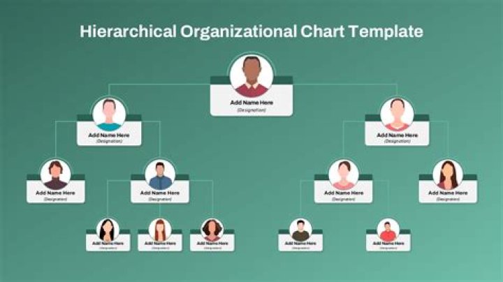How do you explain a hierarchy chart?