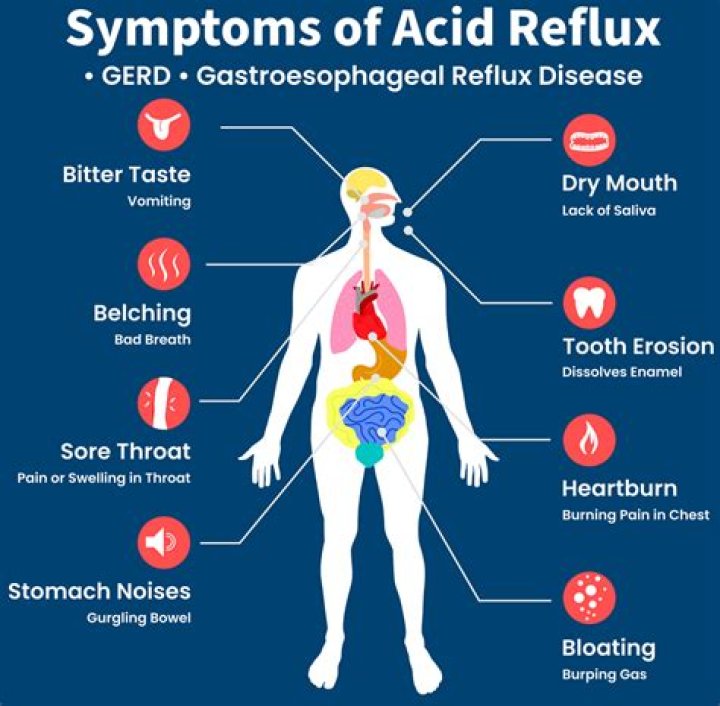 How do you know if your dog has acid reflux?
