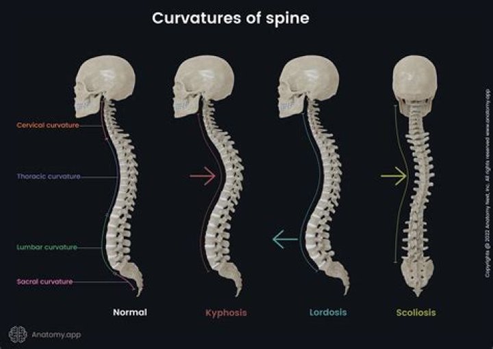 How do you know if your spine is aligned?