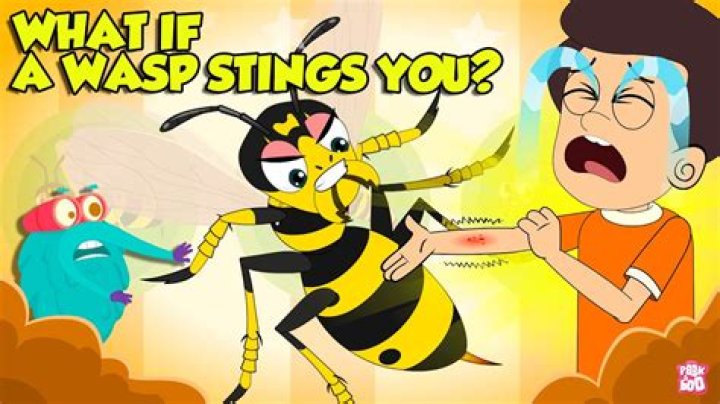 How do you know when a wasp is mad?