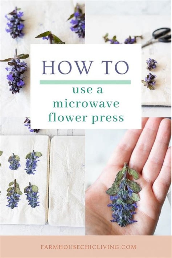 How do you press flowers in the microwave?