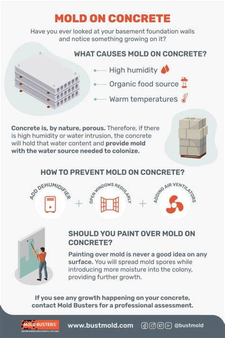 How do you prevent mold from growing on concrete?