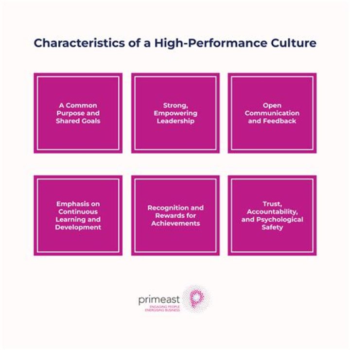 How do you promote a high performance culture?