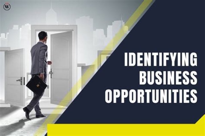 How do you search for business opportunities?