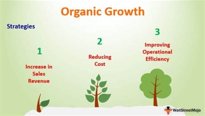 How does a business grow organically?