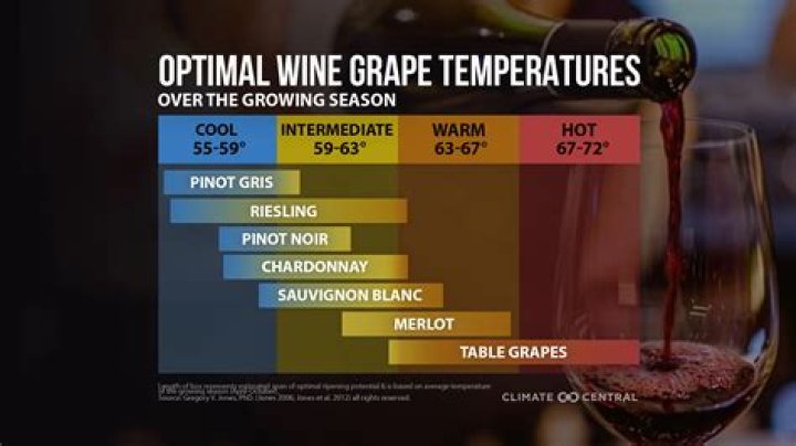 How does climate affect wine production?