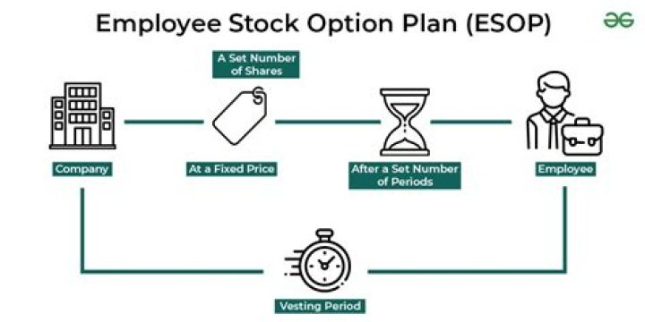 How does ESOP payout work?