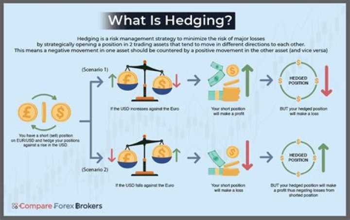 How does foreign exchange hedging work?