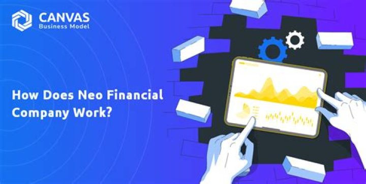 How does Neo financial work?