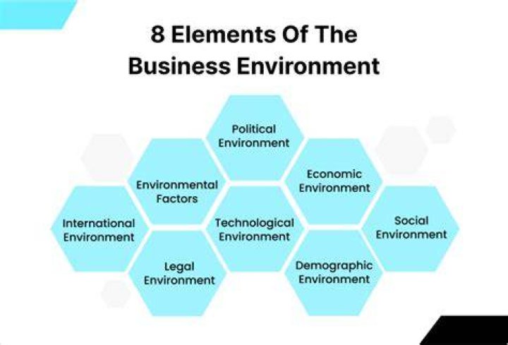 How does the economic environment affect the business?