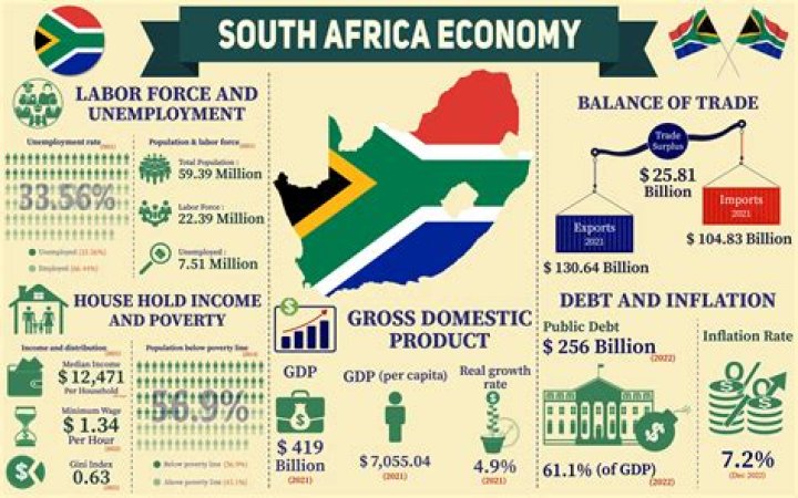 How does the primary sector contribute to the South African economy?