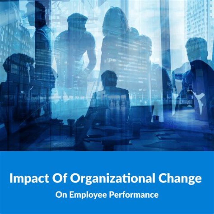 How employees performance impact the organization?